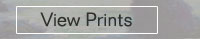 view the prints