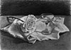 rose and glass
