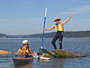 waving from an old snag off the Nisqually Delta