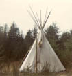 my tipi on Peg Wortmans farm
